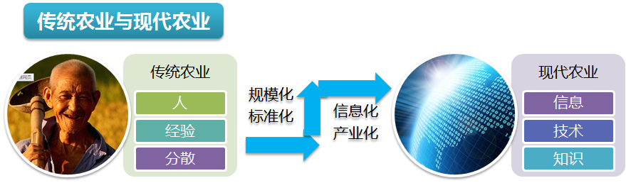 图:传统农业向现代农业转变的过程