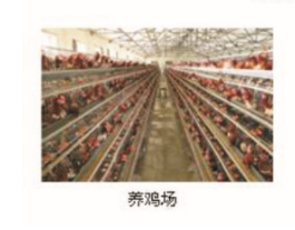 畜禽养殖智能监控系统