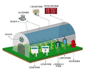 温室大棚水肥一体化系统�解决方案